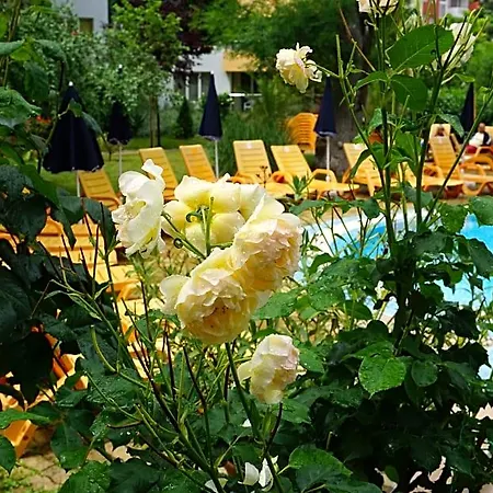 Hotel Yassen Mng 3*